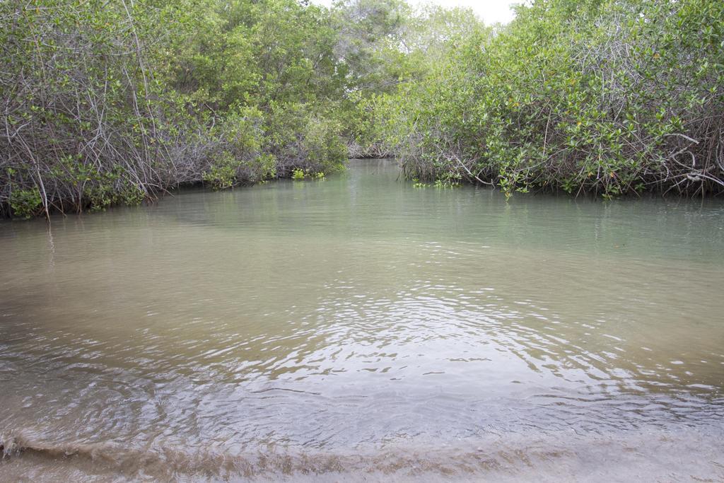 Paraiso De Isabela Puerto Villamil Εξωτερικό φωτογραφία